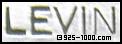 Levin